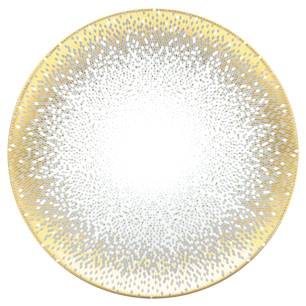Haviland Souffle d'Or 32 cm Supla Tabak cover pic