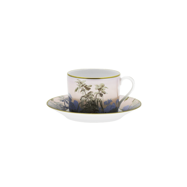 Haviland Le Bresil by Zuber Manufacturer Çay Fincanı ve Tabağı cover pic