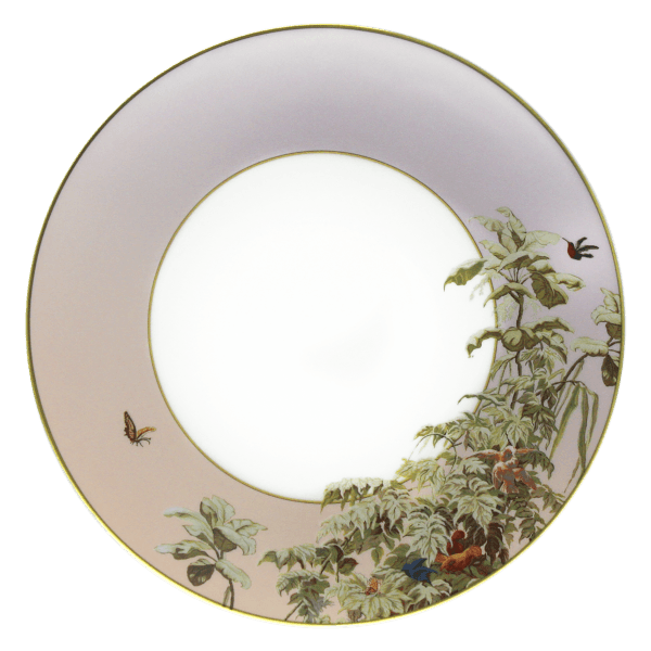 Haviland Le Bresil by Zuber Manufacturer Servis Tabak cover pic
