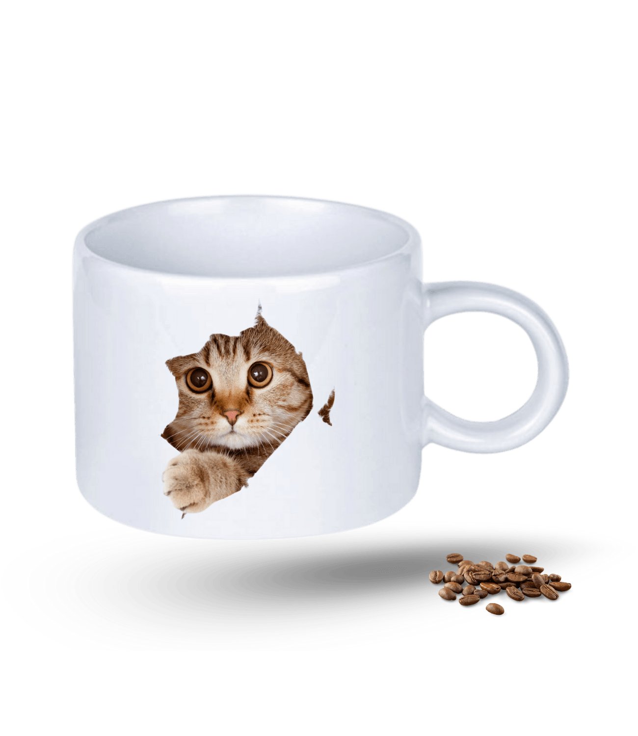 Tekir Kedi Temalı Kedi Sever Baskılı Porselen Motto Kupa Bardak