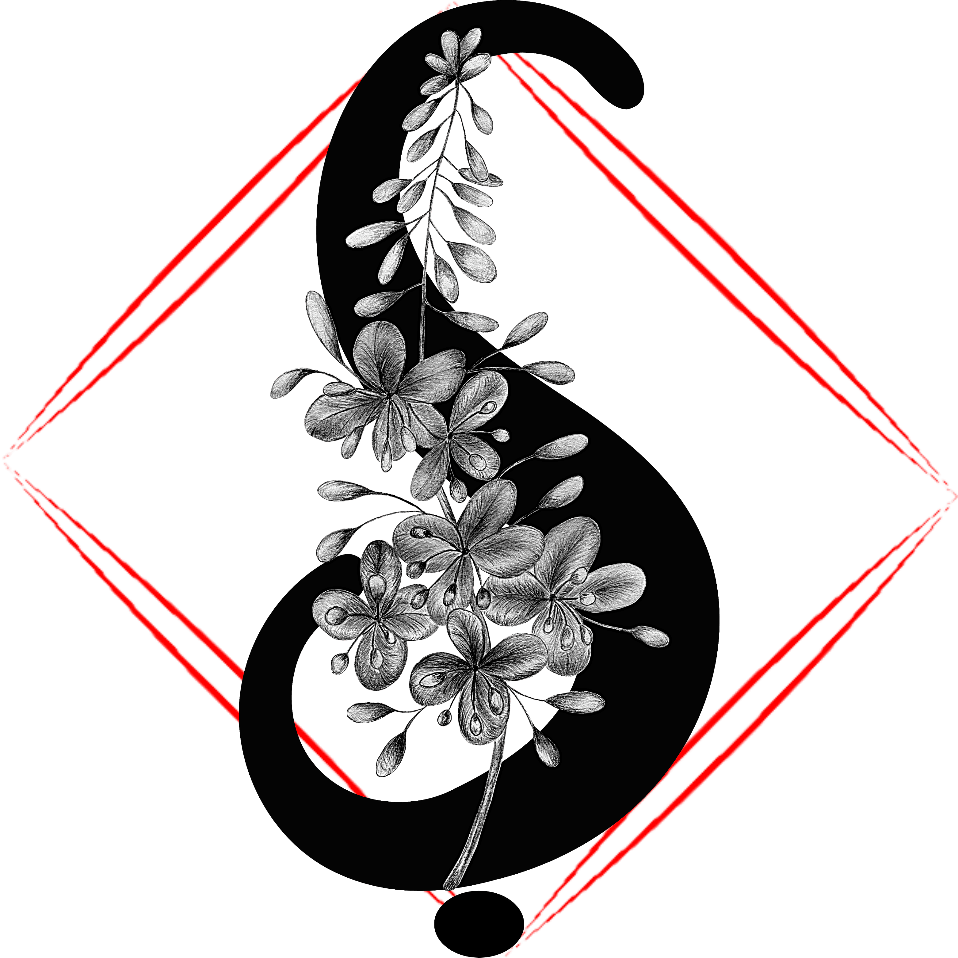 Ş