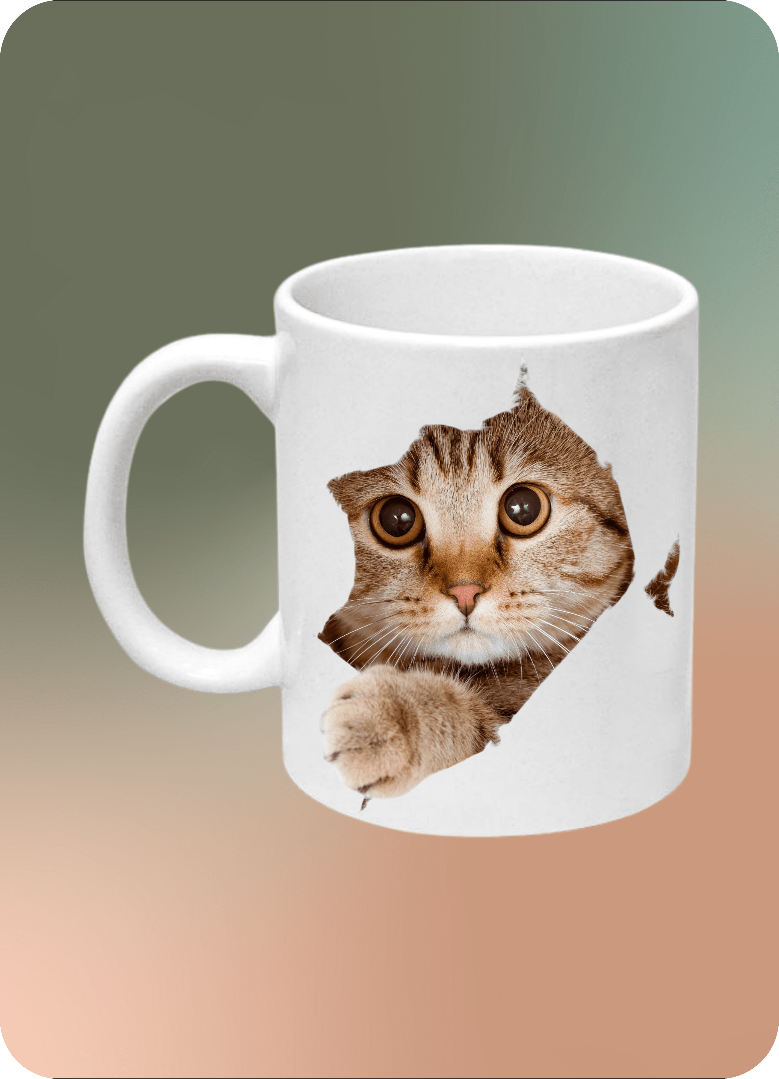 Sevimli Kedi Baskılı Kedi Sever Kupa Bardak Çay Kahve Fincanı