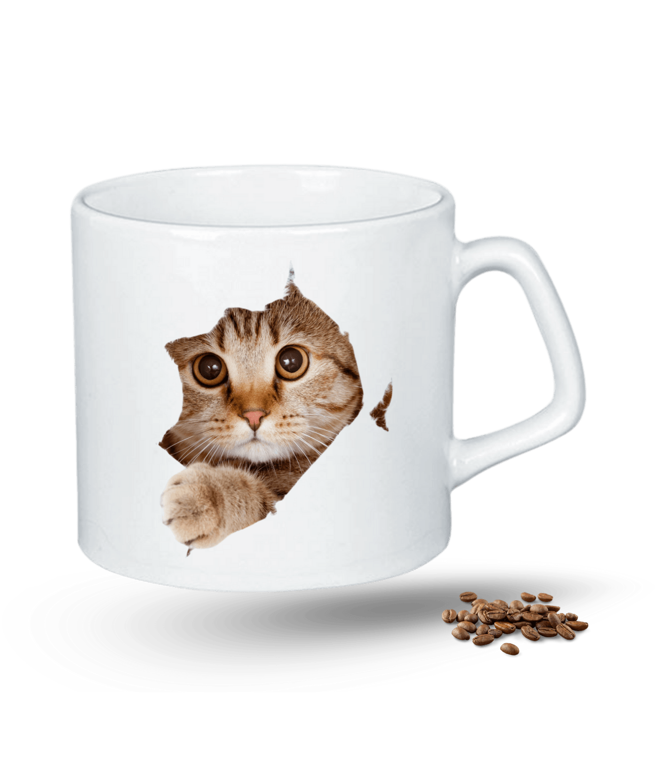 Tekir Kedi Temalı Kedi Sever Baskılı Porselen Afilli Kupa Bardak