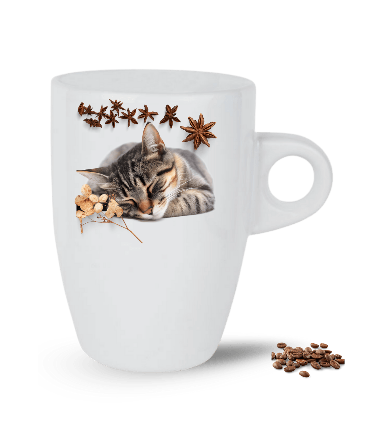 Uykucu Kedi Temalı Kedi Sever Baskılı Porselen Latte Kupa Bardak