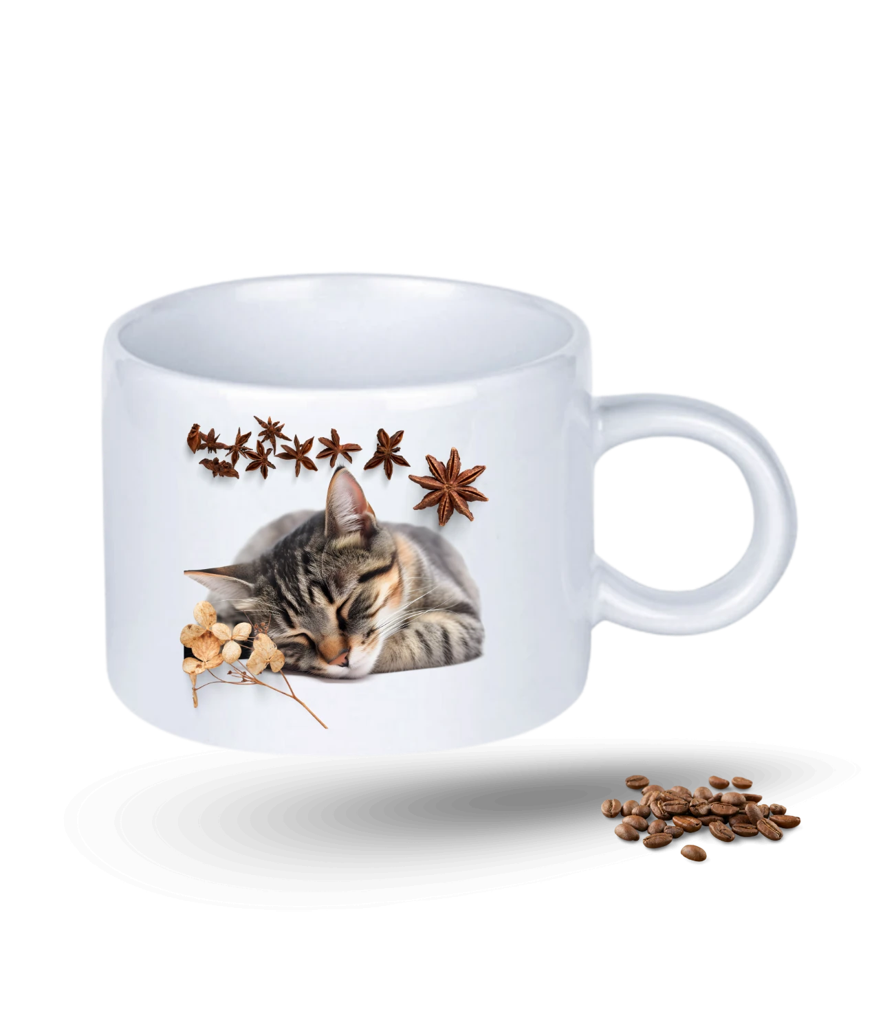 Uykucu Kedi Temalı Kedi Sever Baskılı Porselen Motto Kupa Bardak