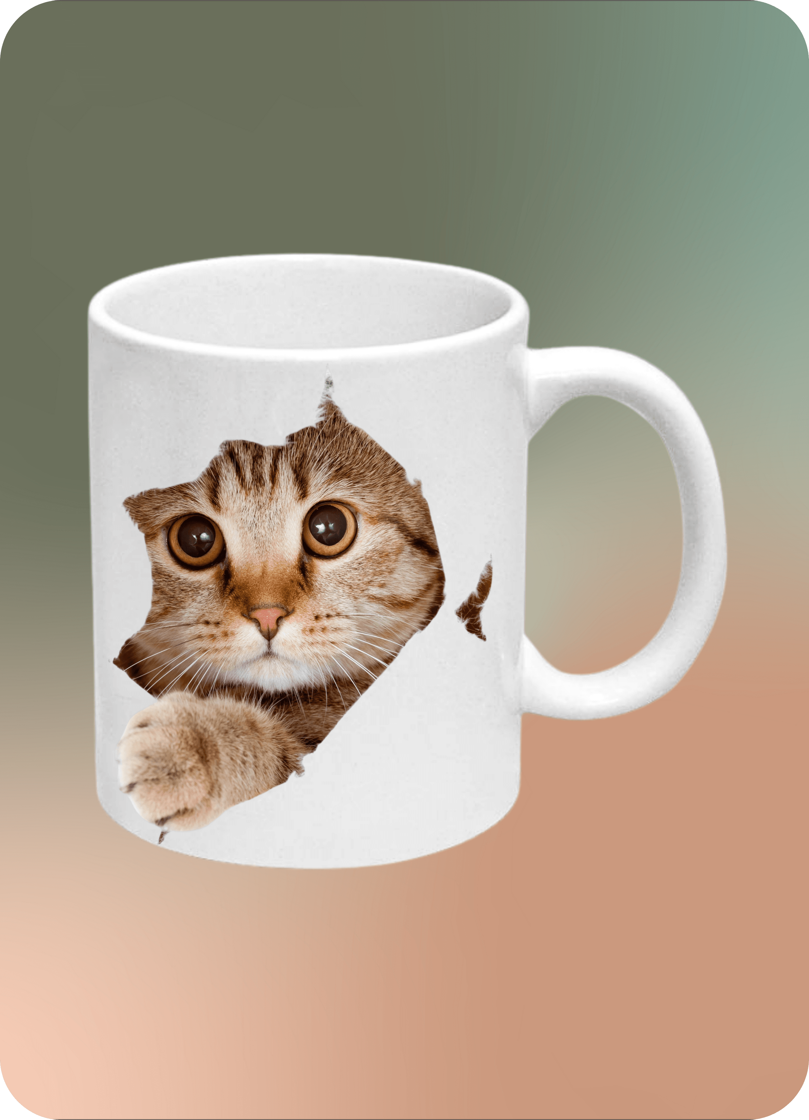 Sevimli Kedi Baskılı Kedi Sever Kupa Bardak Çay Kahve Fincanı