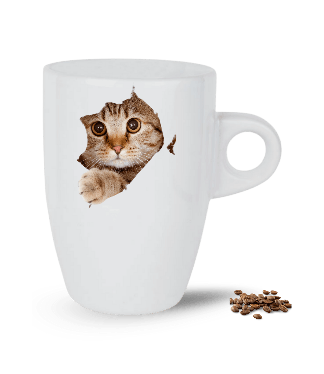 Tekir Kedi Temalı Kedi Sever Baskılı Porselen Latte Kupa Bardak