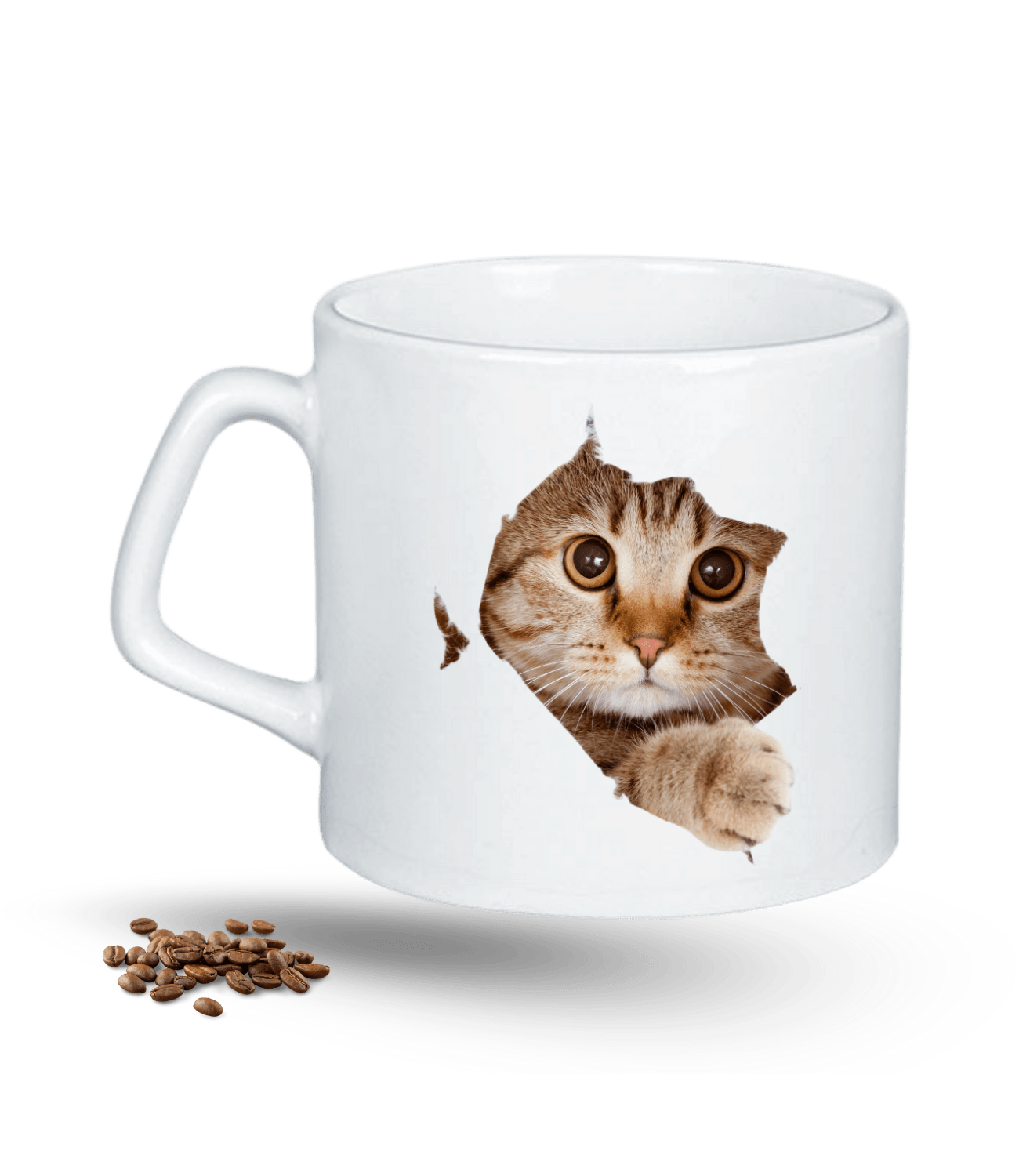 Tekir Kedi Temalı Kedi Sever Baskılı Porselen Afilli Kupa Bardak