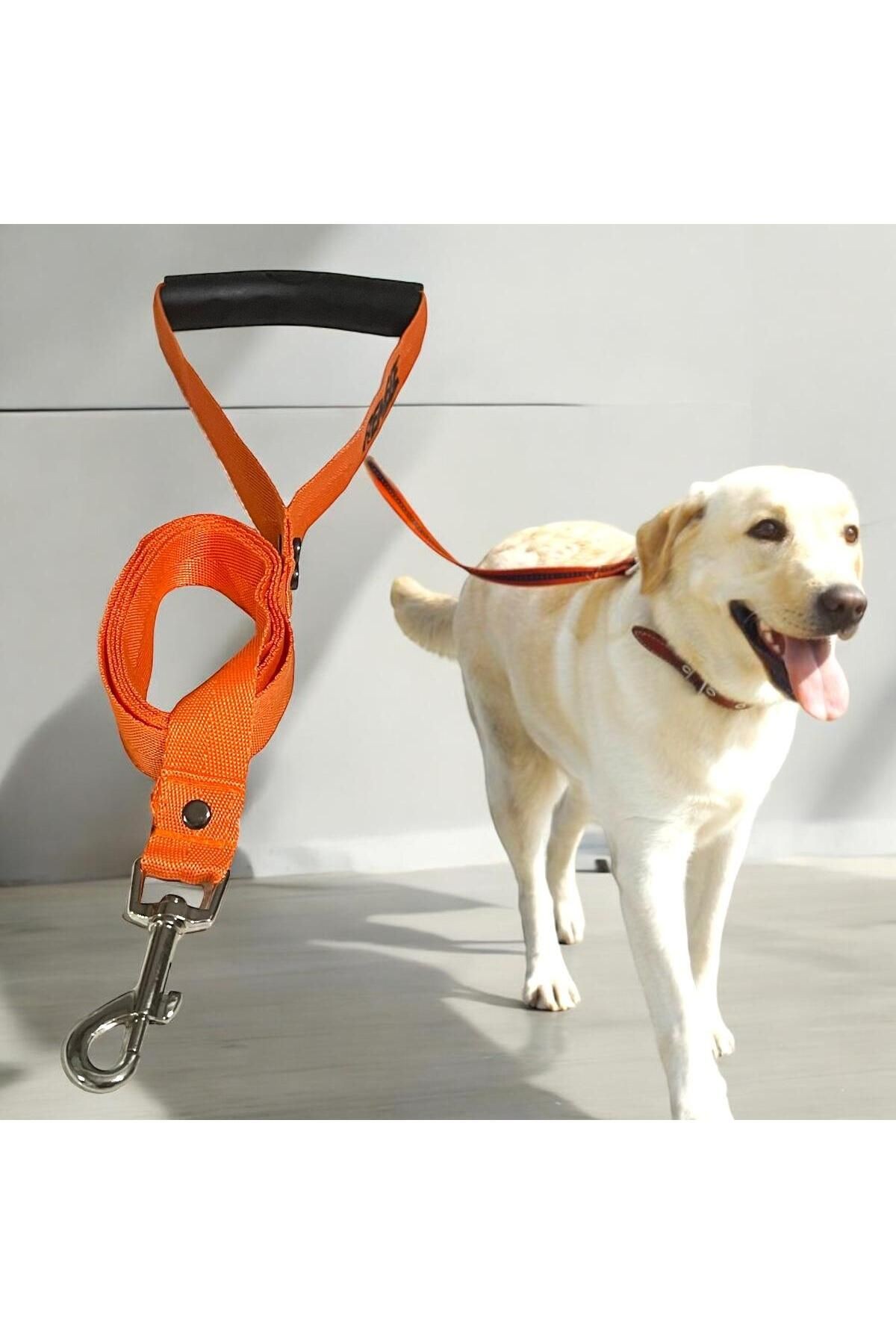 Kedi, Köpek Sevk ve Gezdirme Kayışı 160 Cm, Tutamaçlı Kedi ve Köpek Sevk ve Gezdirme Kemeri