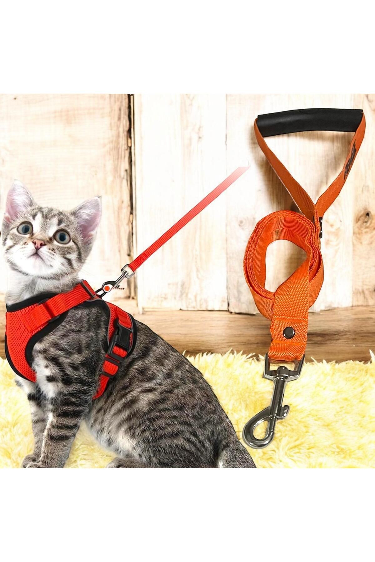 Kedi, Köpek Sevk ve Gezdirme Kayışı 160 Cm, Tutamaçlı Kedi ve Köpek Sevk ve Gezdirme Kemeri