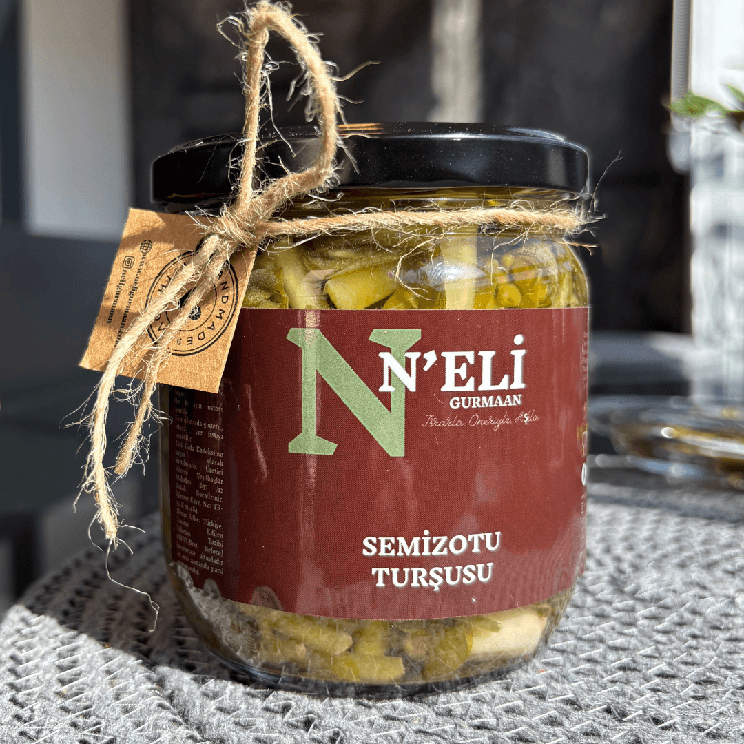 Semizotu Turşusu 380g