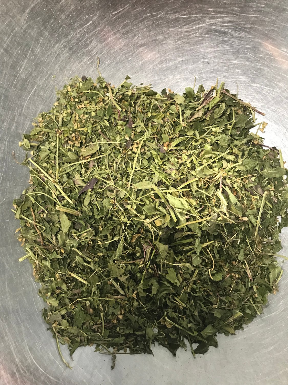 American Skullcap (Blue Skullcap)