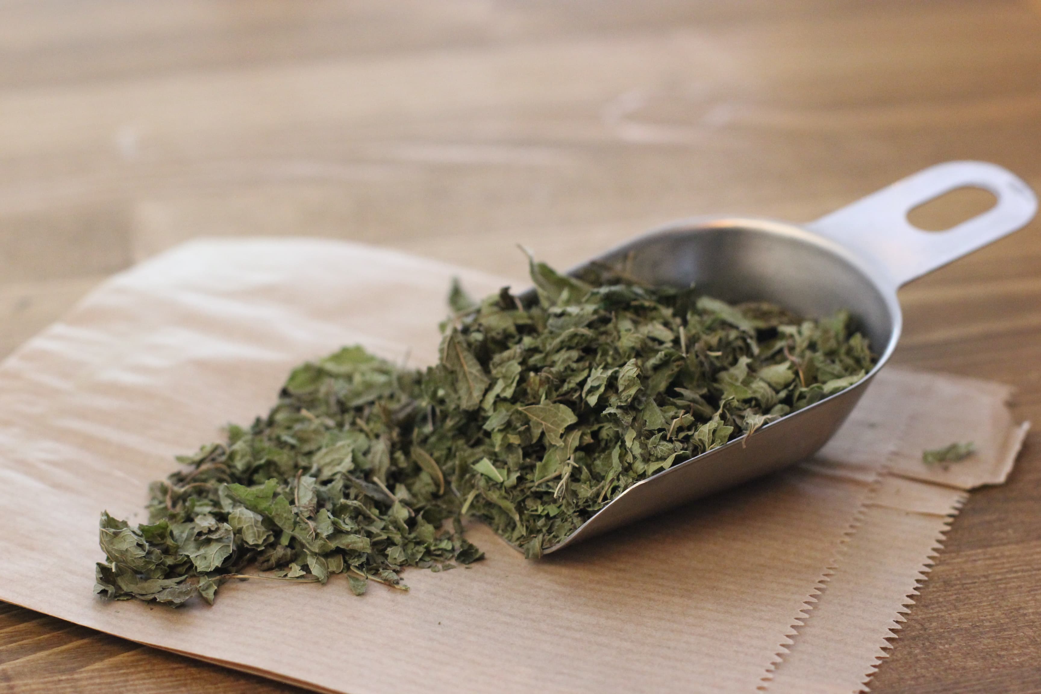 Organik Melisa (Oğul otu) | Melissa officinalis 