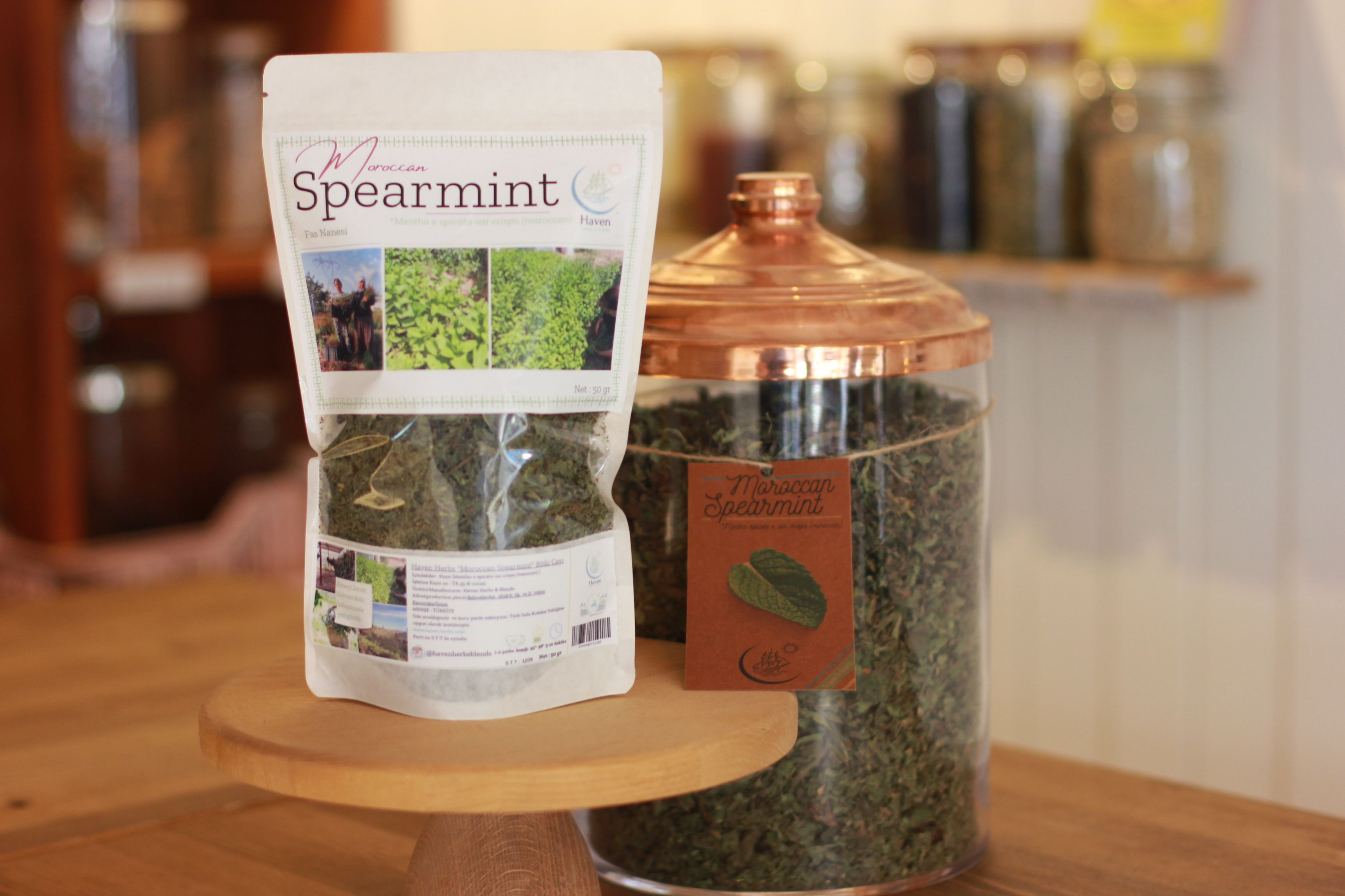 Moroccan Spearmint (Mentha x spicata var crispa)