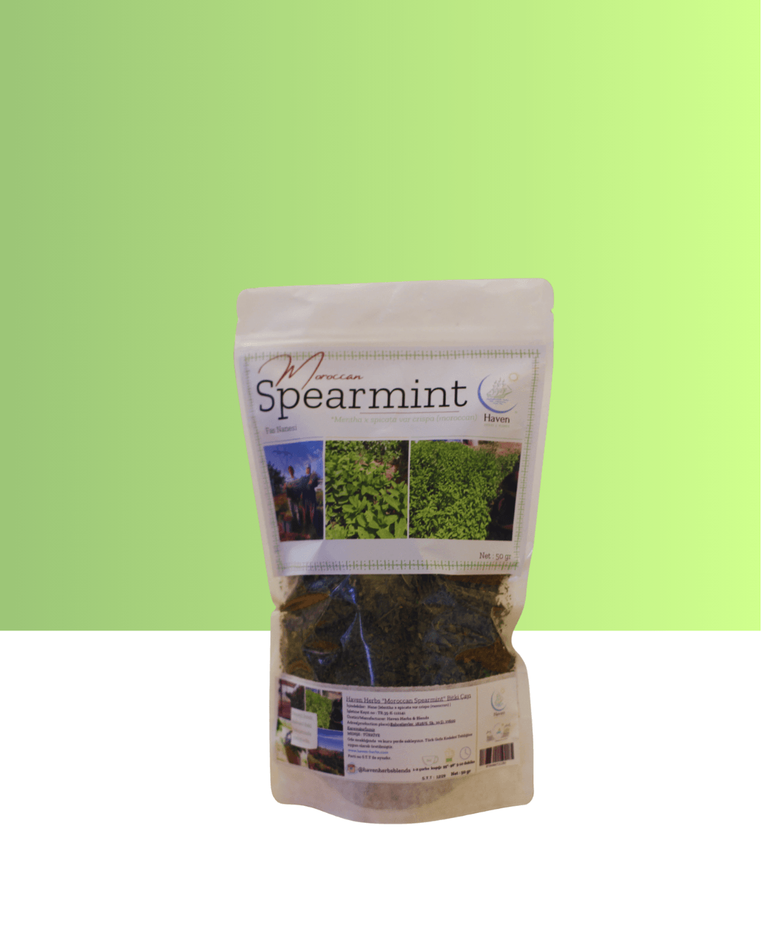 Moroccan Spearmint (Mentha x spicata var crispa)