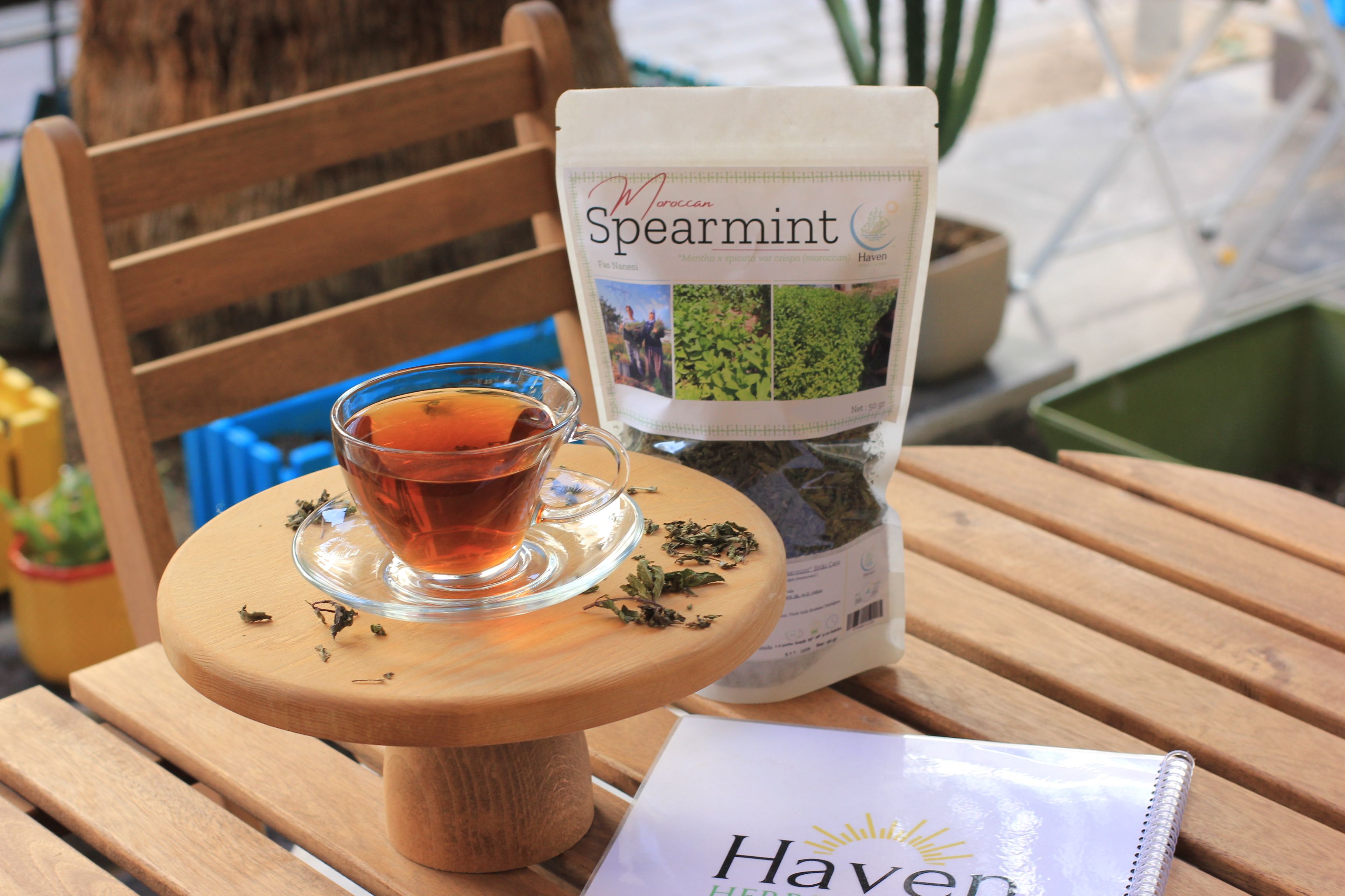 Moroccan Spearmint (Mentha x spicata var crispa)