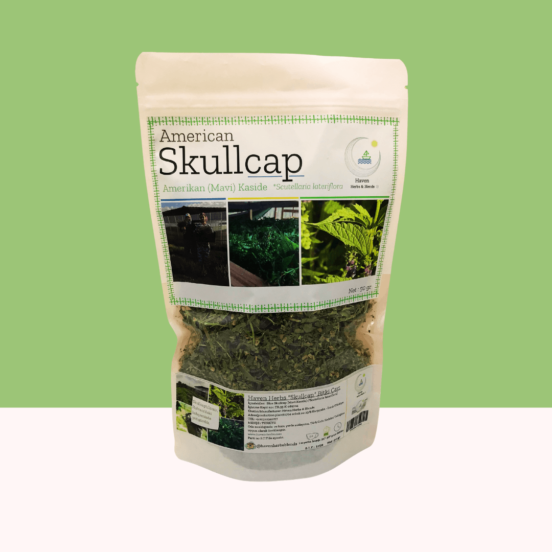 American Skullcap (Blue Skullcap)