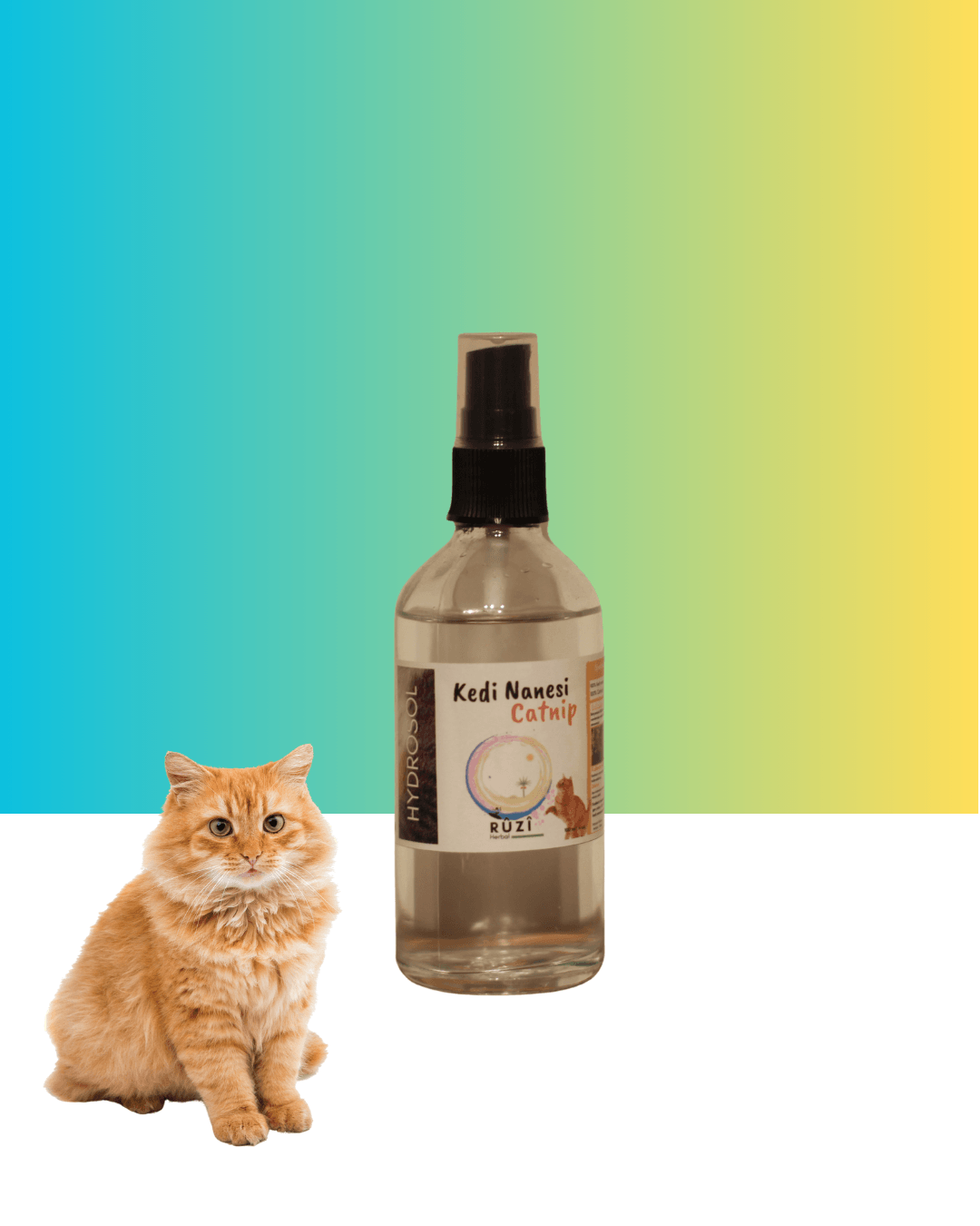 Kedi Nanesi (Catnip) Hidrosolü