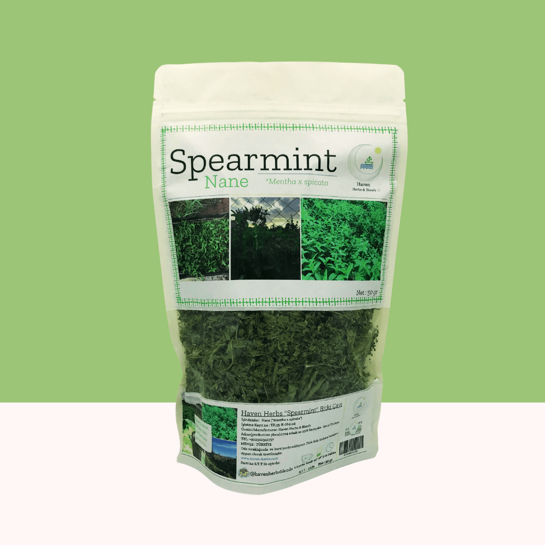 Spearmint (Kıvırcık nane)