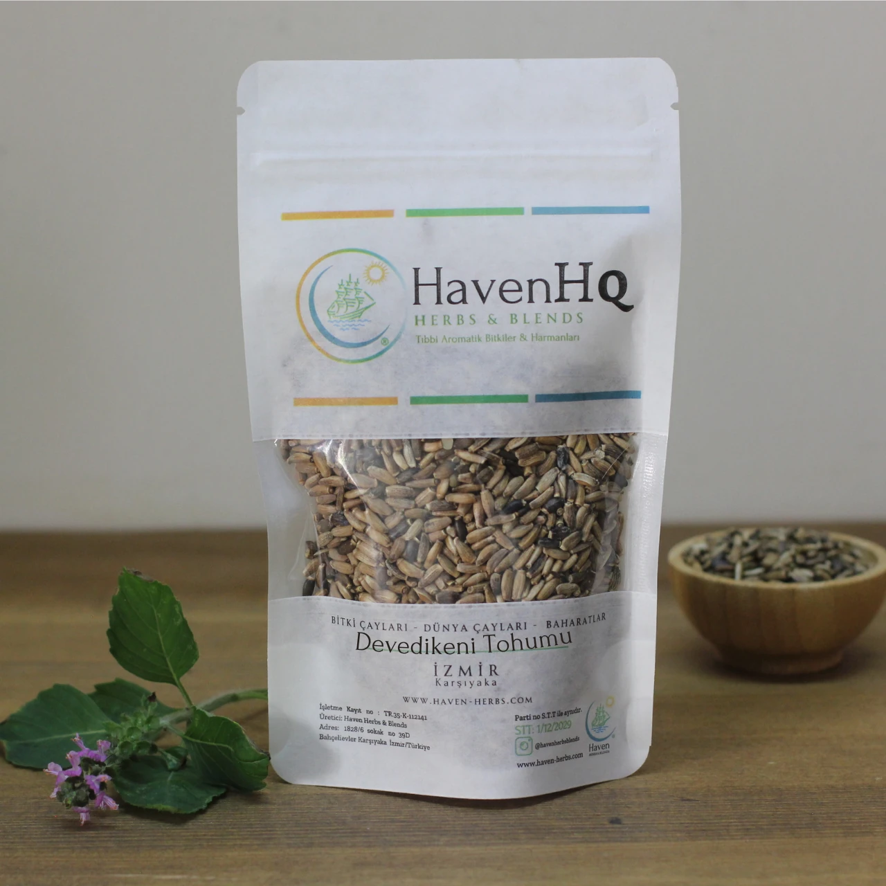 Devedikeni (Meryemana Dikeni) Tohumu