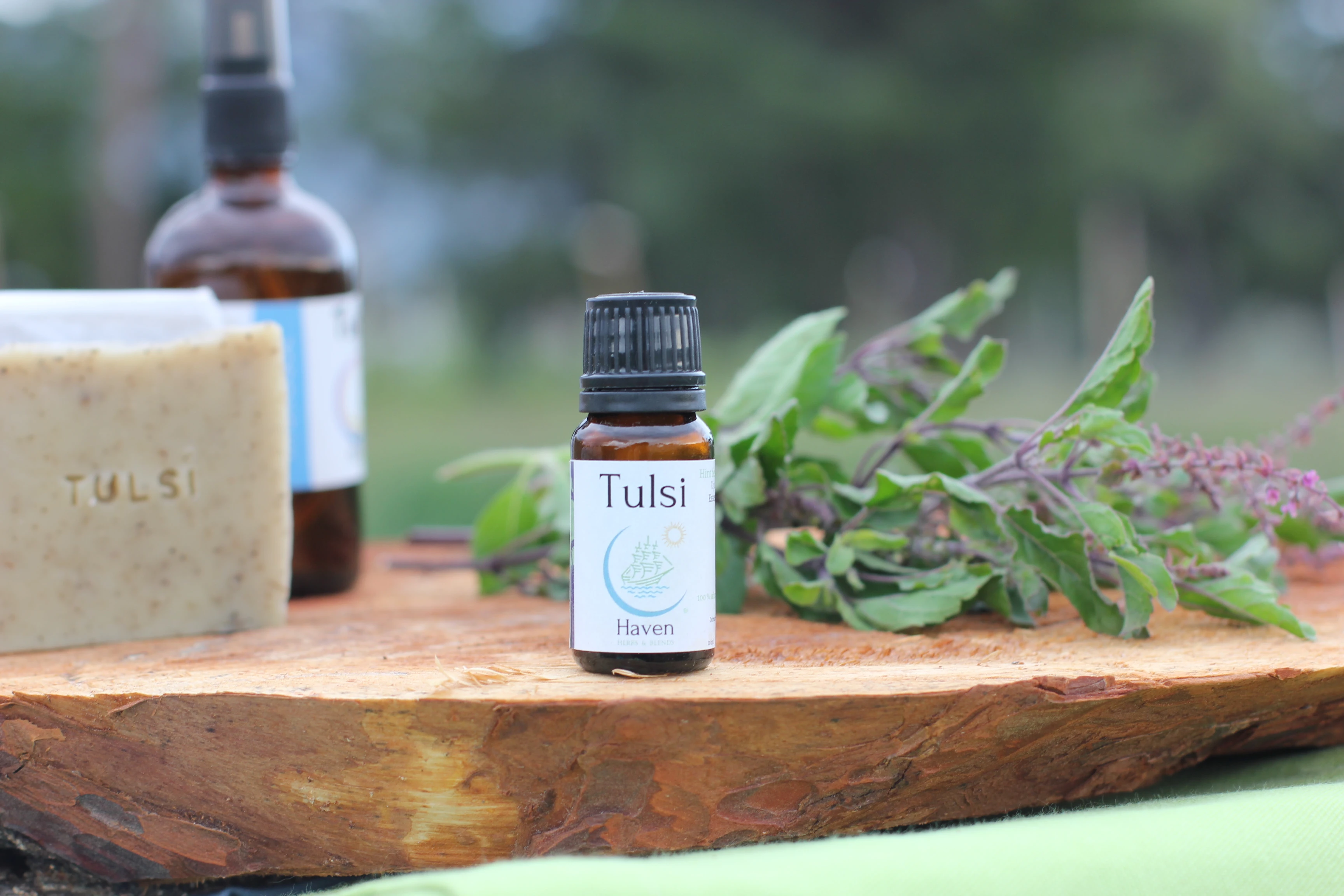 Tulsi (Hint fesleğeni) Uçucu Yağı