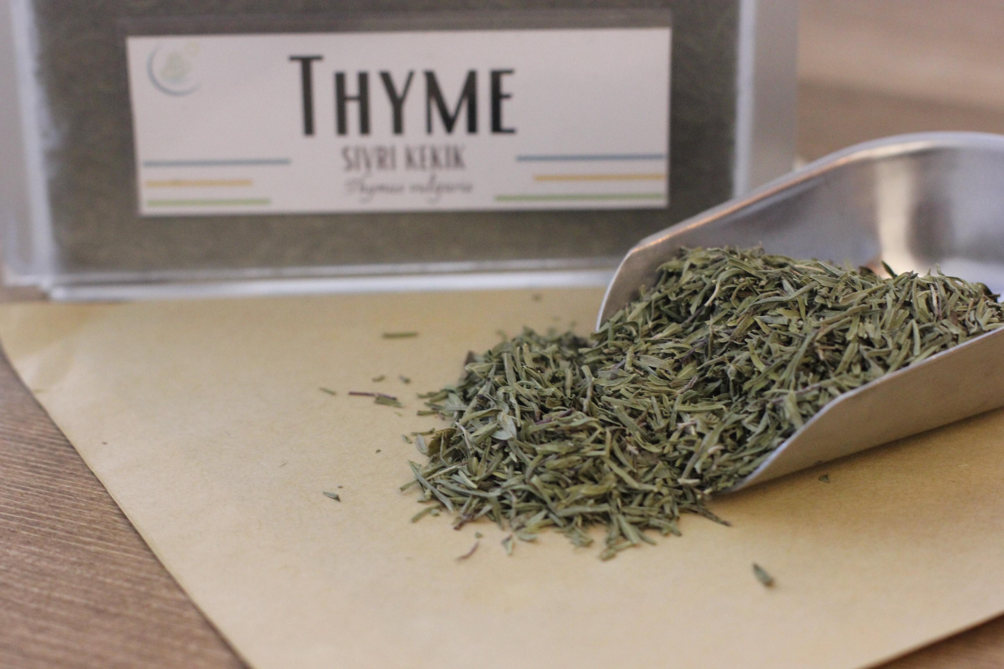 Thyme | Sivri Kekik | Zahter | Dağ Kekiği 