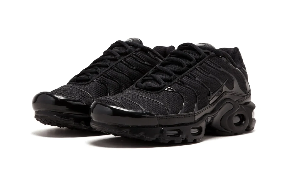 Air Max Plus Tn Siyah 