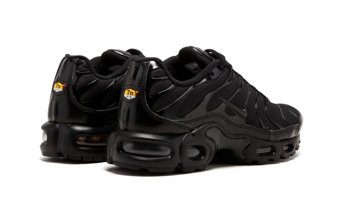 Air Max Plus Tn Siyah 