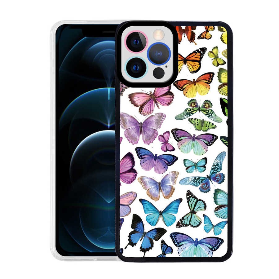 butterfly no3