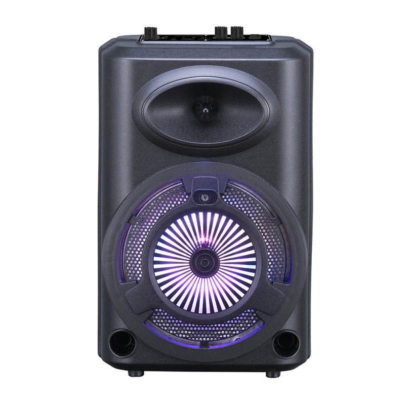 Rona GD-903 Dijital LED Göstergeli FM Radyolu Mikrofonlu RGB TWS 8 inç Stereo Bass Kablosuz Karaoke