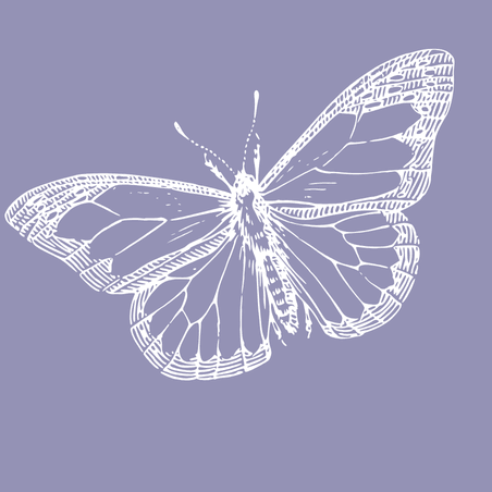 Lilac Butterfly