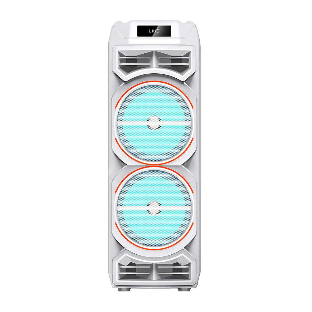 Zore GD-2828 Dijital LED Göstergeli Mikrofonlu RGB TWS Çift 8 inç Stereo Bass Kablosuz Karaoke Hoparlör
