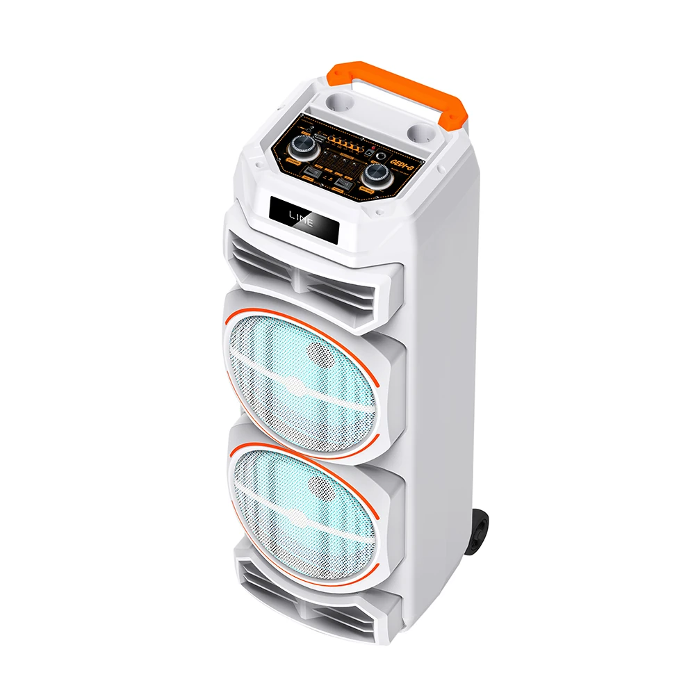 Zore GD-2828 Dijital LED Göstergeli Mikrofonlu RGB TWS Çift 8 inç Stereo Bass Kablosuz Karaoke Hoparlör