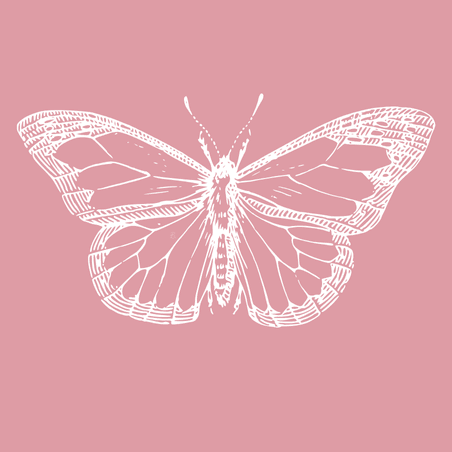 Pink Butterfly