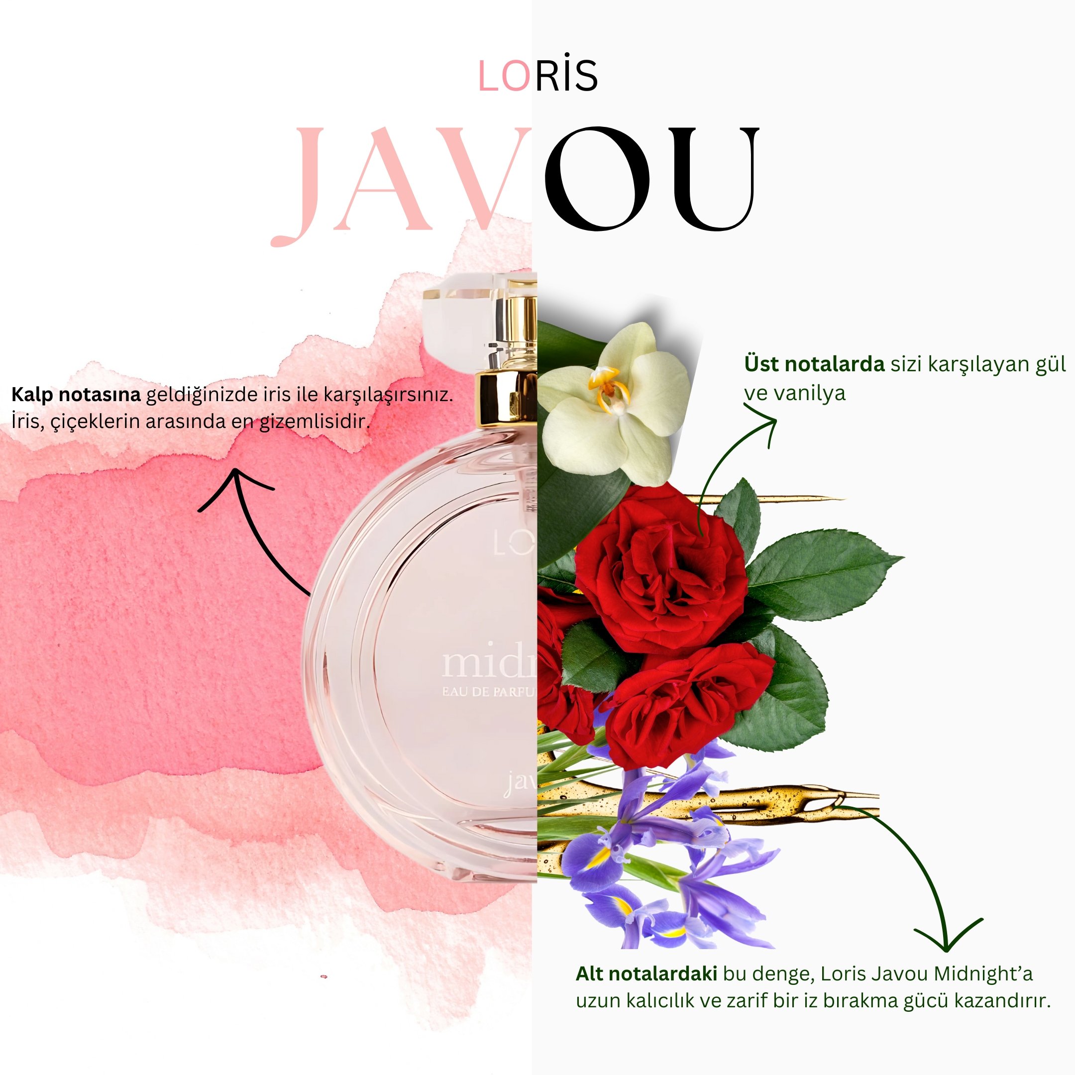 Loris Javou Midnight 100ML