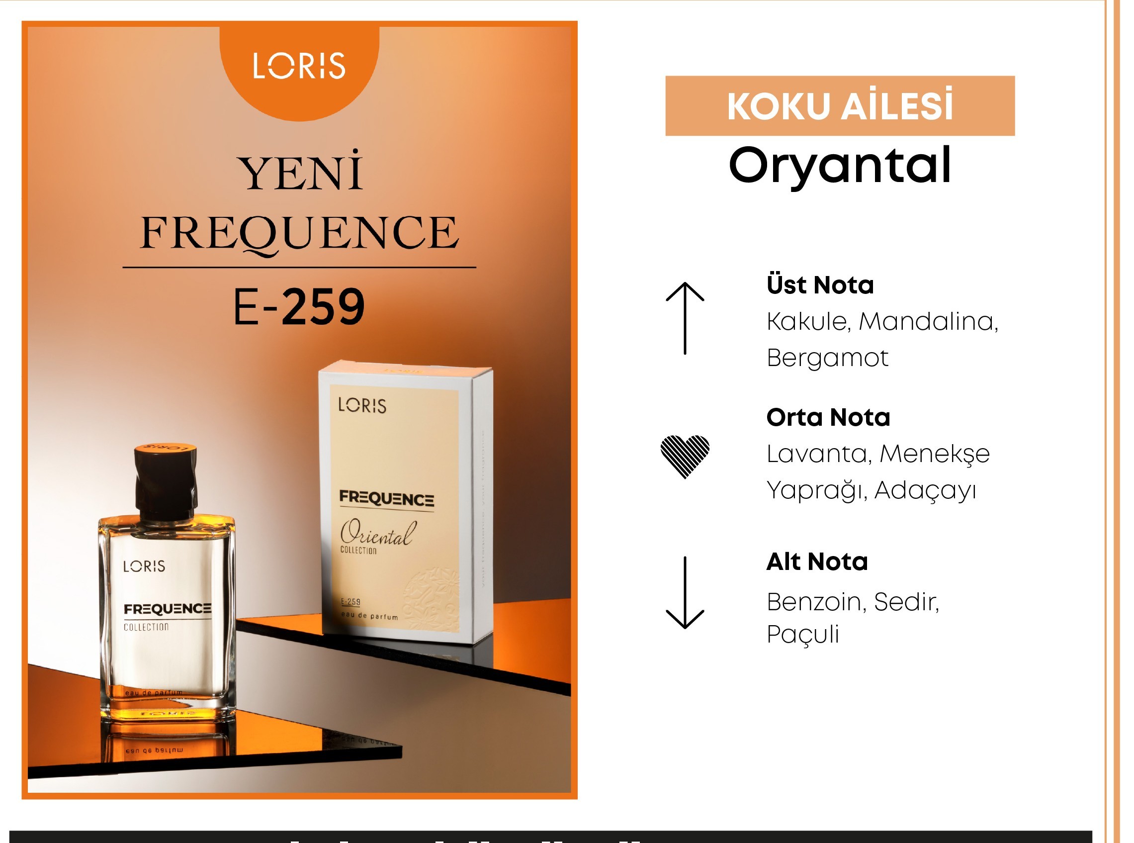 E-259 Frequence Erkek EDP Parfüm 50 ML