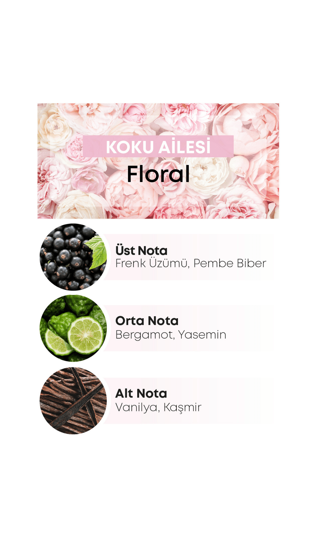 Loris K-308 Frequence Kadın Parfümü 50 ML