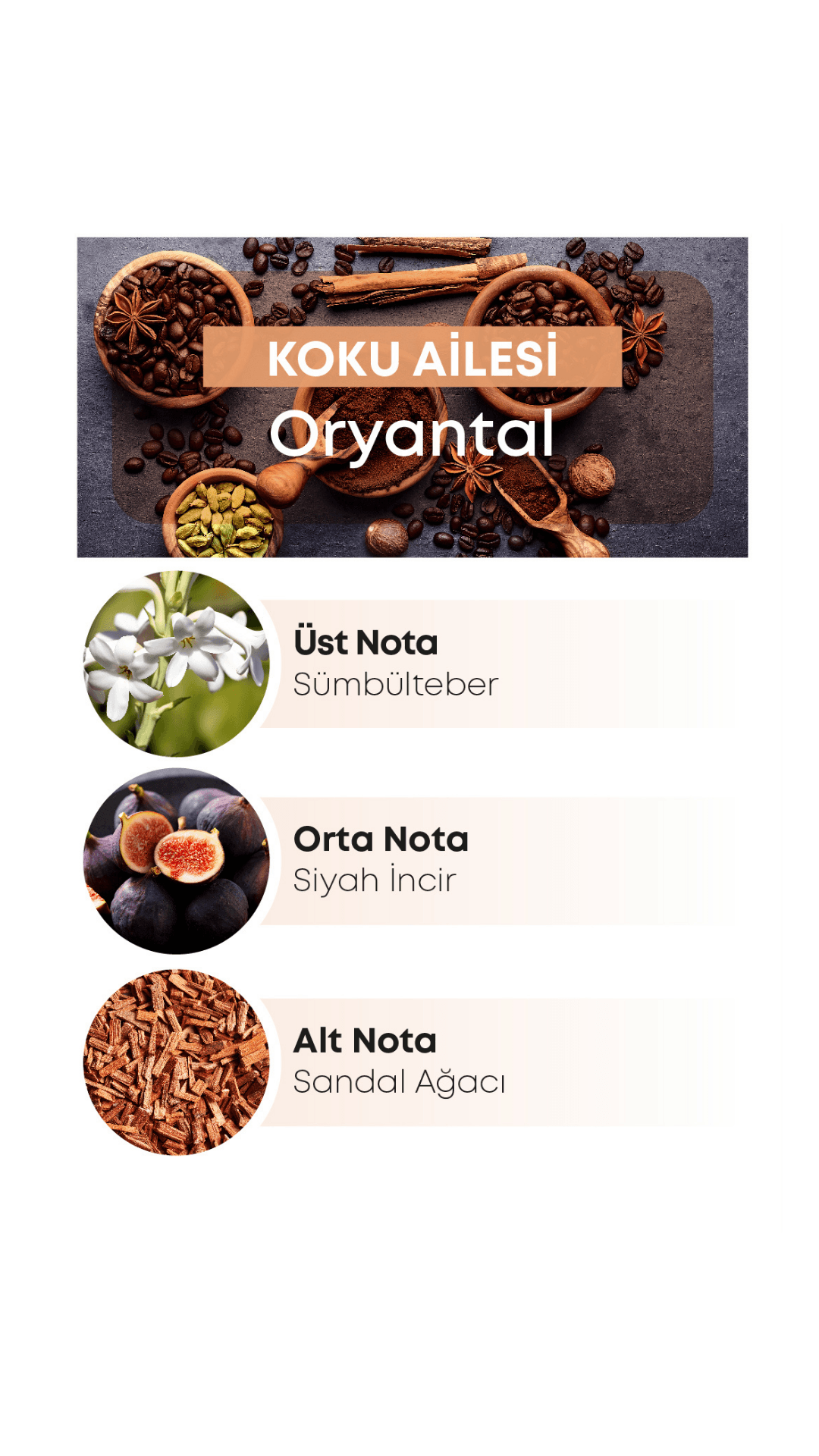 Loris K-294 Frequence Kadın Parfümü 50 ML