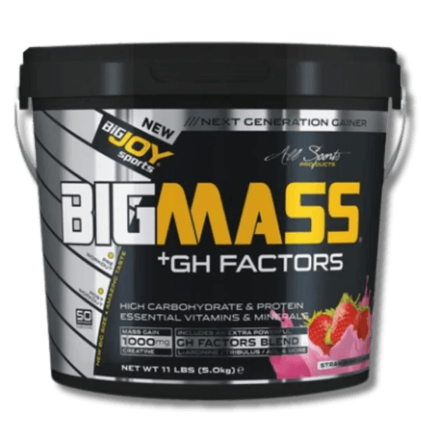 BigJoy Sports Big Mass +GH Factors 5000 Gr