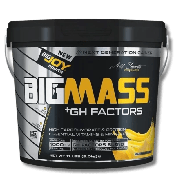 BigJoy Sports Big Mass +GH Factors 5000 Gr