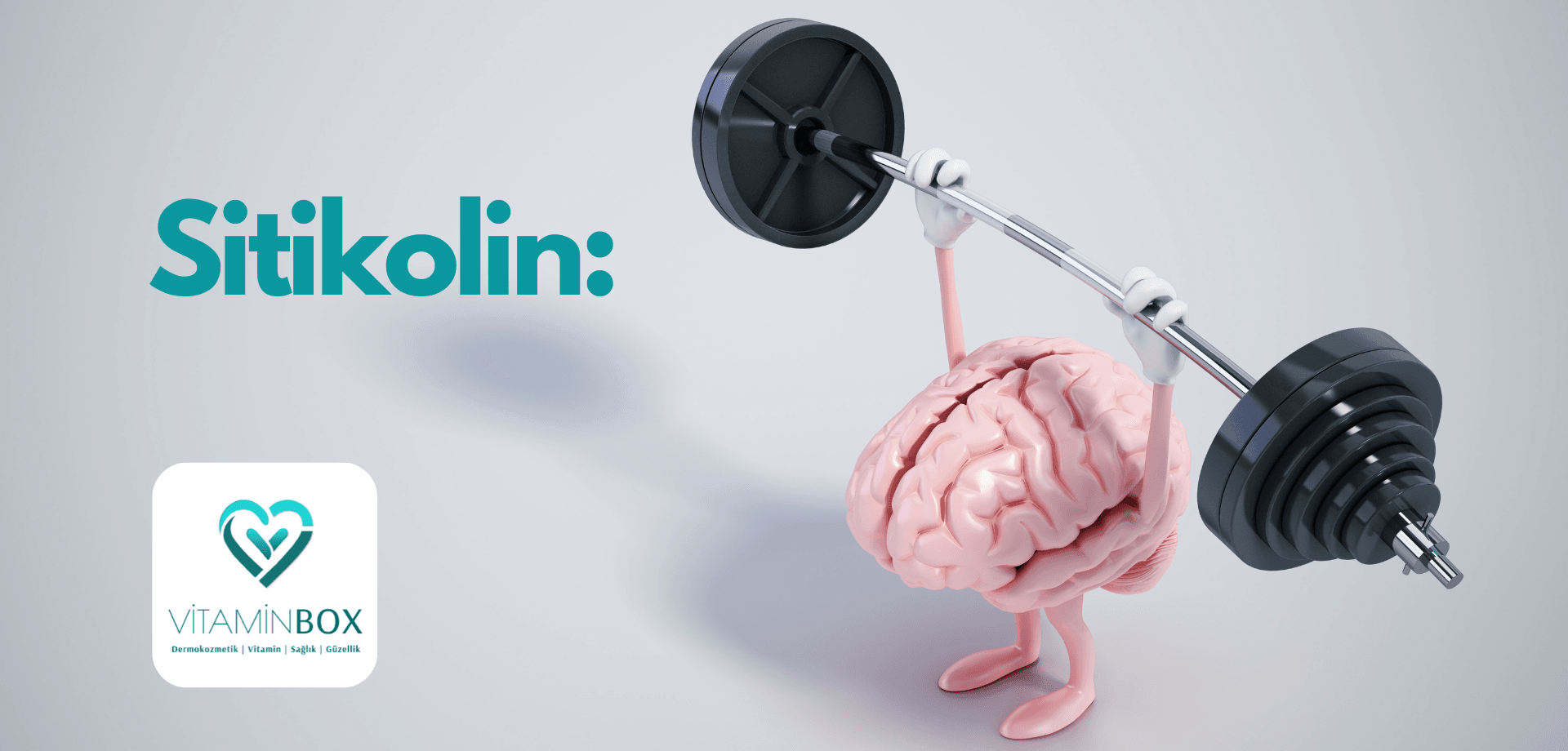 Sitikolin ile Bilişsel Güç: Sitikolin Nedir ve Ne İşe Yarar?