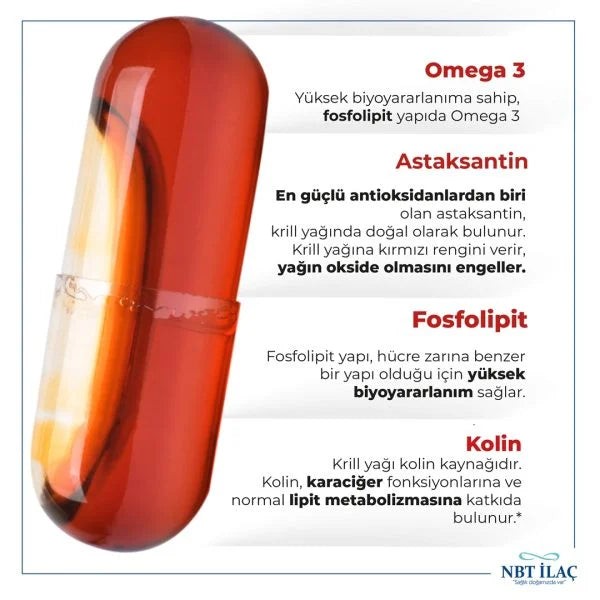 NBT Life Krill Oil 30 Kapsül