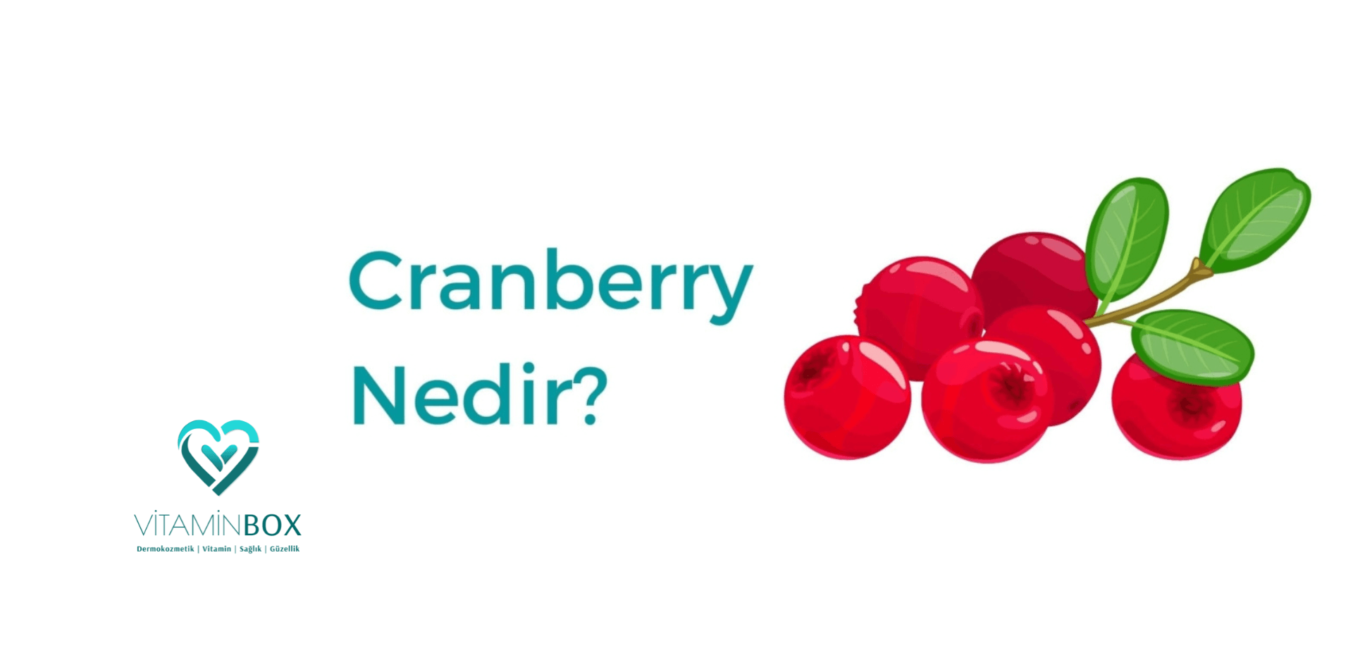 4 Önemli Faydası ile Cranberry Nedir? Ne İşe Yarar?