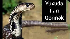 Yuxuda ilan görmək
