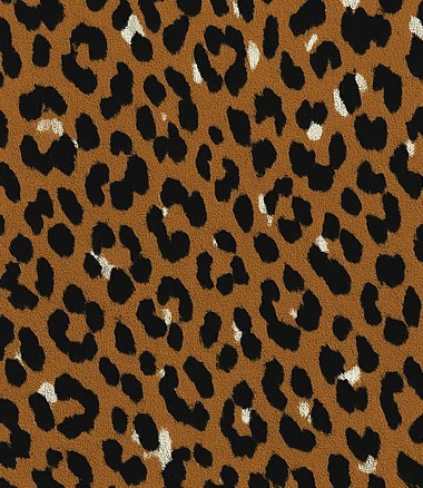 Kahverengi Leopar