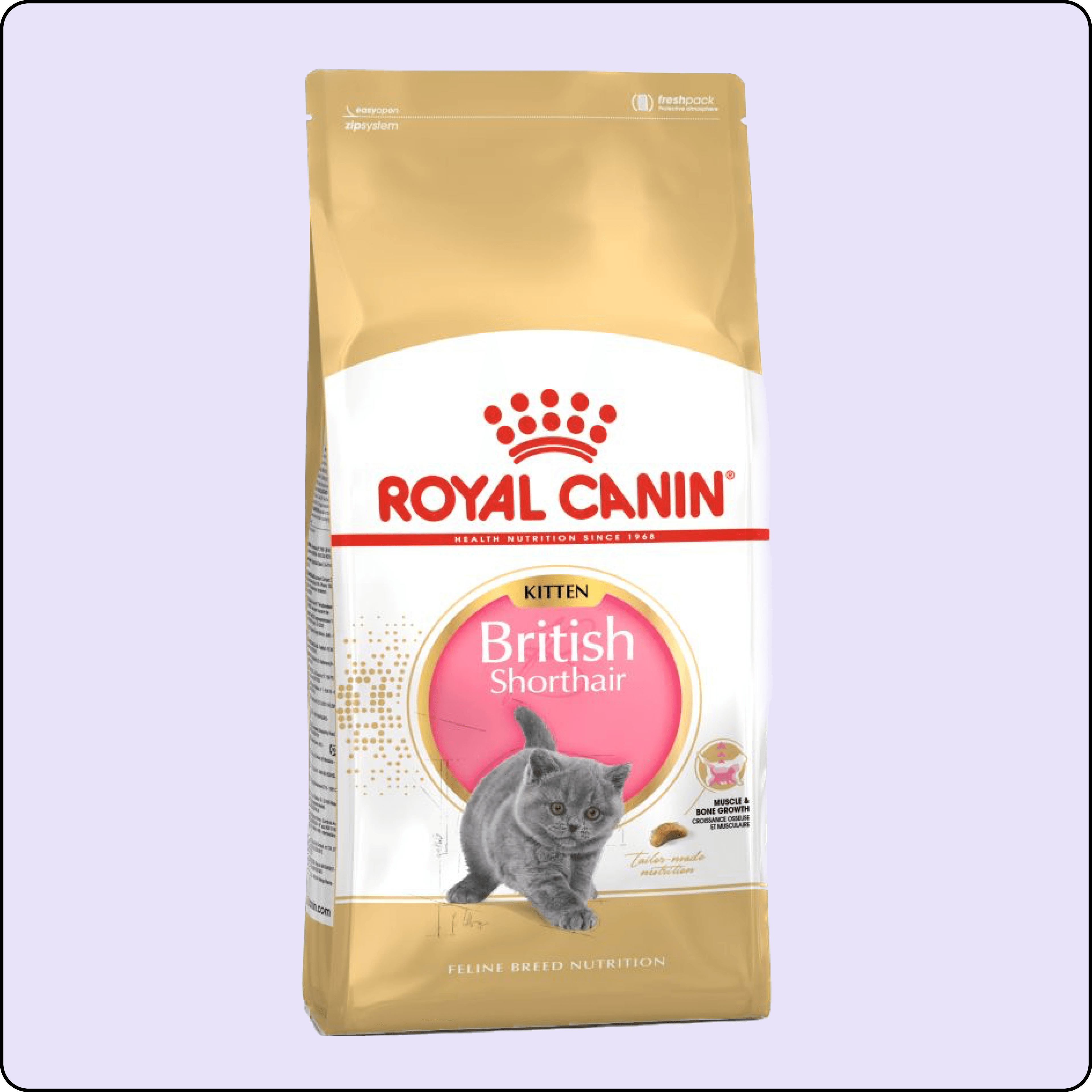 Royal Canin Kitten British Shorthair Yavru Kedi Maması 2 kg