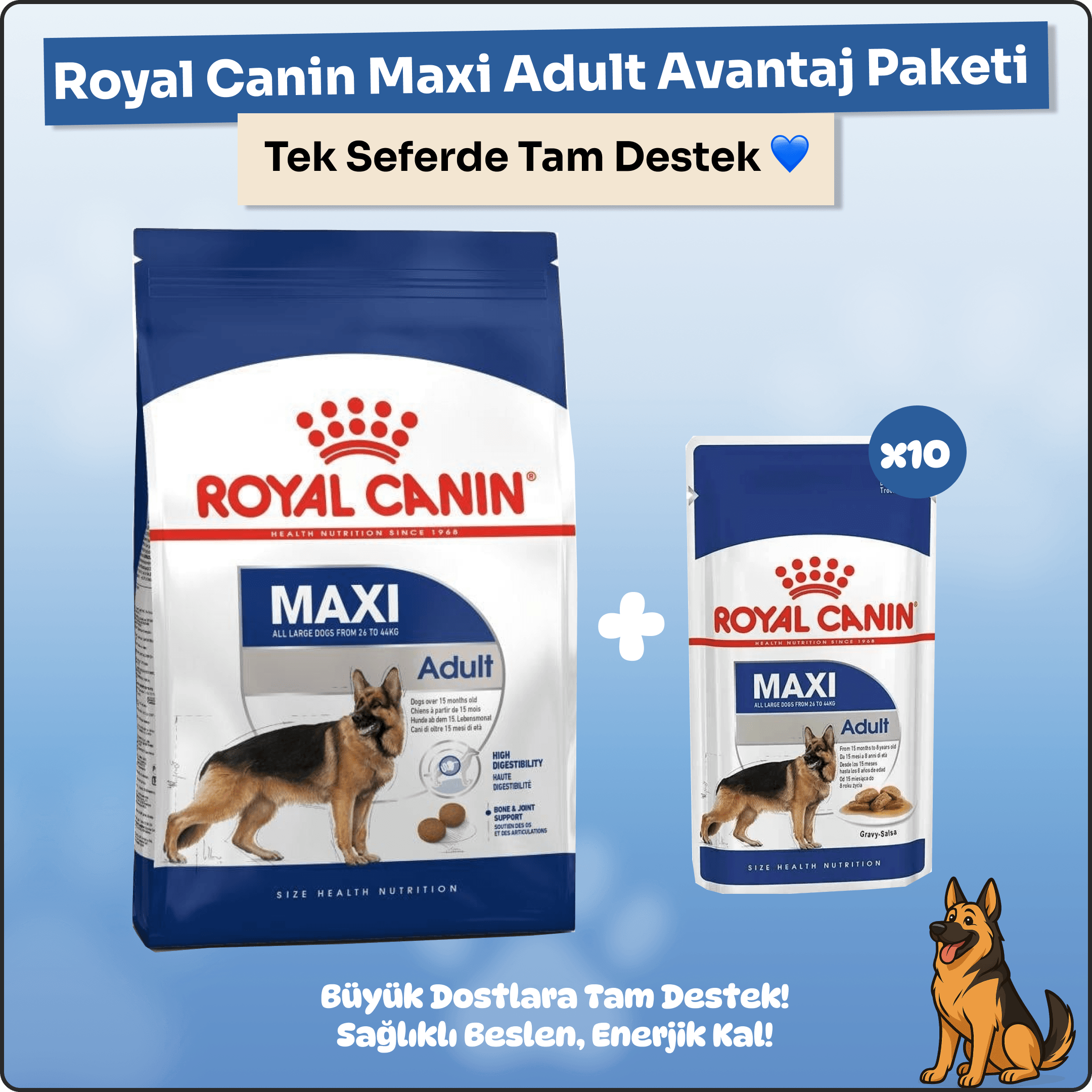 Royal Canin Maxi Adult 15 kg + 10'lu Yaş Mama Avantaj Paketi