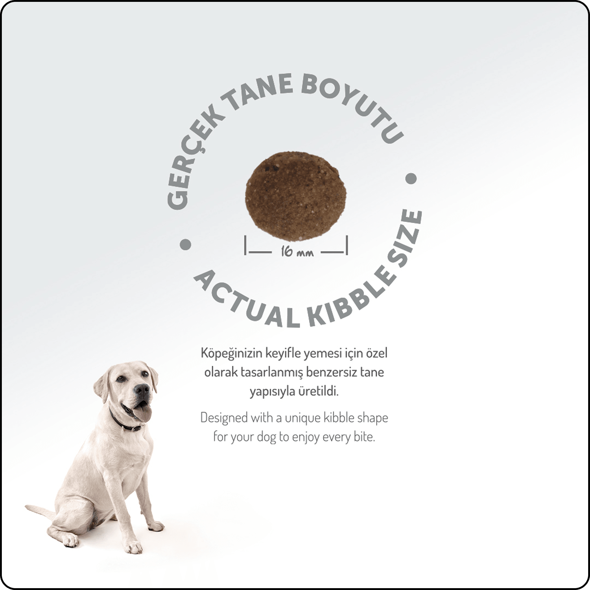 Felicia Hypo-Allergenic Somonlu Düşük Tahıllı Medium&Large Yetişkin Köpek Maması 15 kg