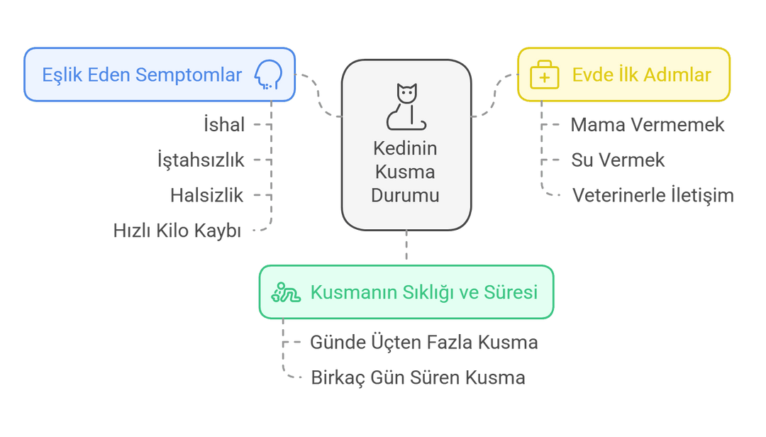 Kedinizin veterinere ne zaman başvurması gerektiğini anlatan şematik.