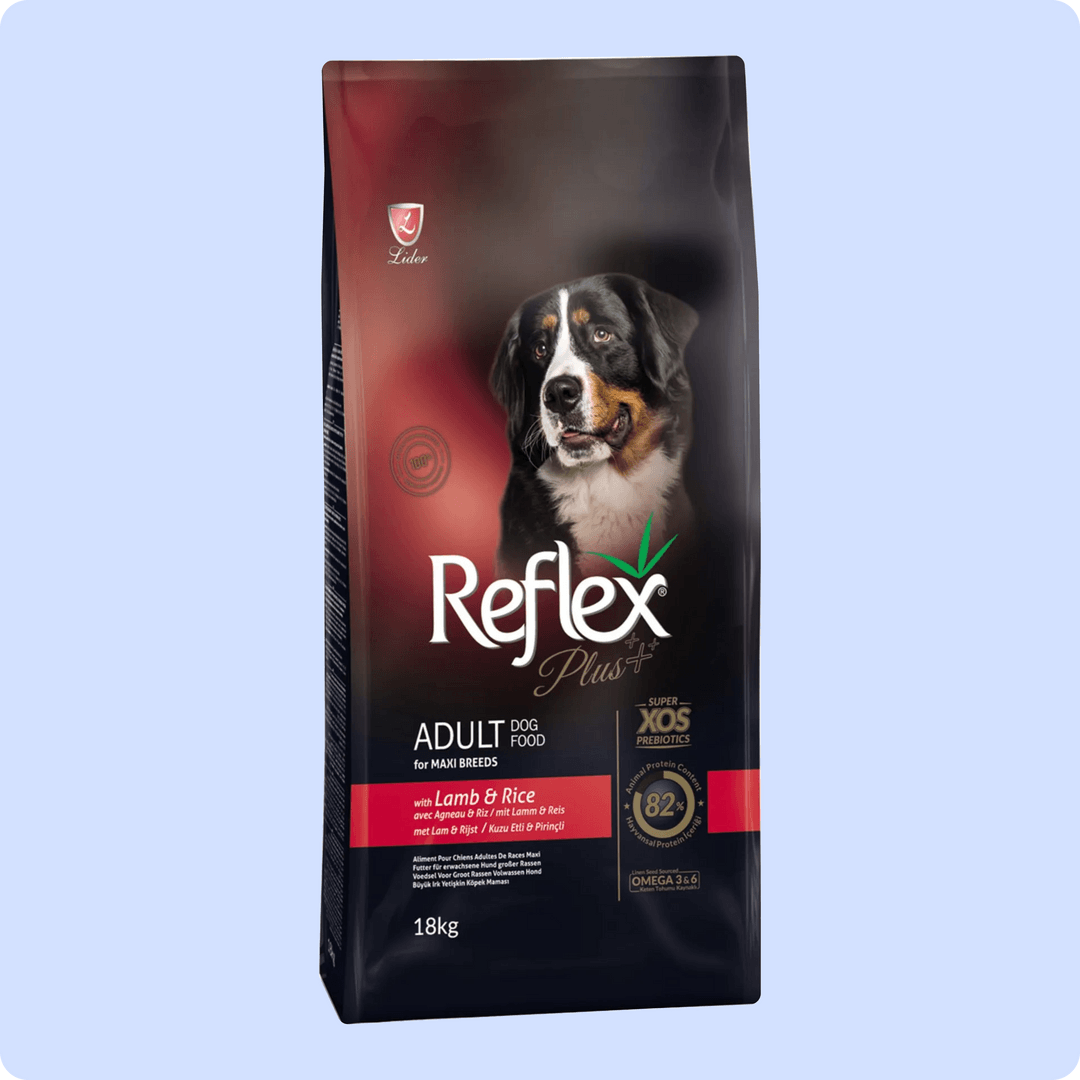 Reflex